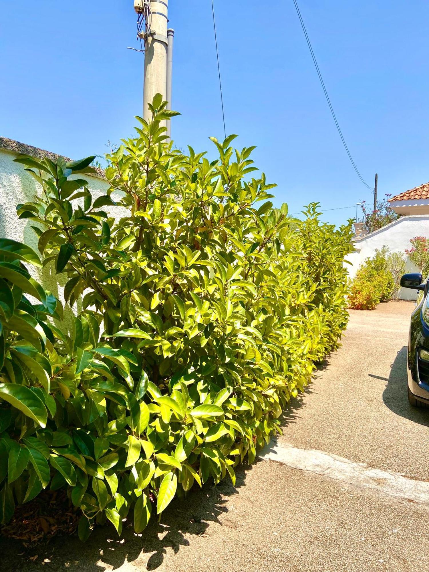 B&B Costa Azzurra Porto Cesareo Extérieur photo